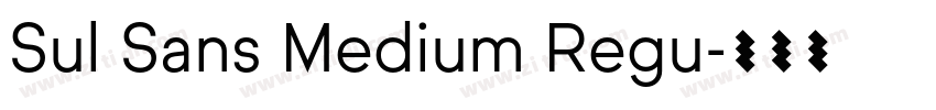 Sul Sans Medium Regu字体转换